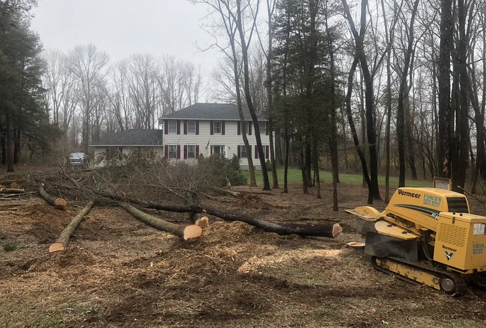 Top-rated residential landscaping in Pittstown, NJ by High Performance Tree Service
