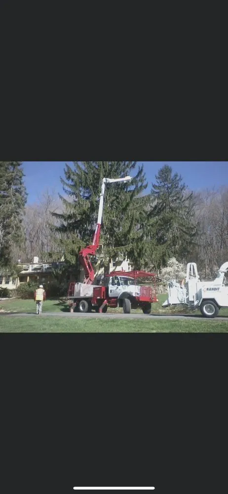 Expert landscaping services in Pittstown, NJ - High Performance Tree Service