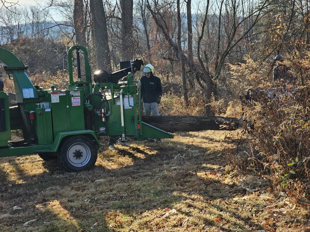 Local landscaping services with custom design across Pittstown, NJ - High Performance Tree Service