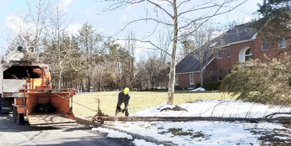 Custom lawn mowing service experts serving Pittstown, NJ - High Performance Tree Service