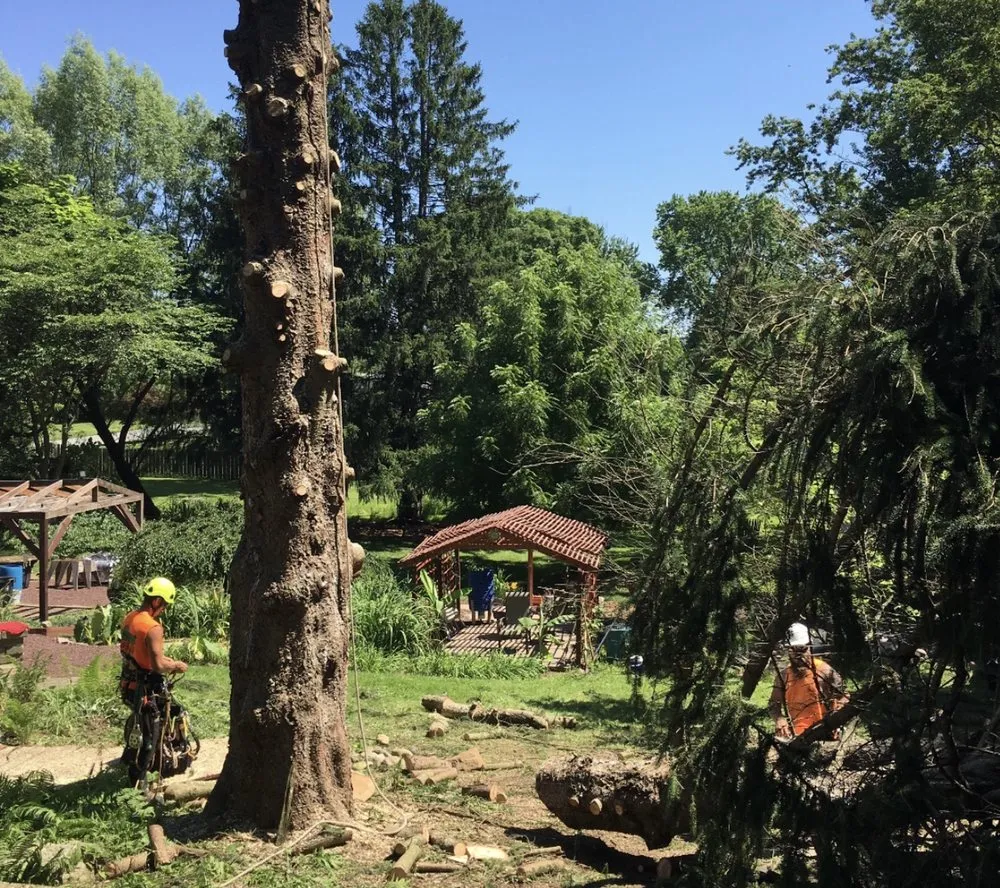 Trusted outdoor landscaping for homes in Pittstown, NJ by High Performance Tree Service