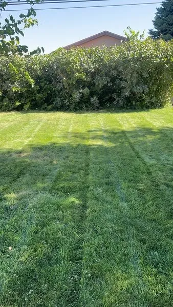 Professional garden landscaping in Pueblo, CO by High Performance Yard & Lawn Care