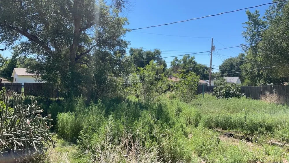 Professional yard cleanup service for homes across Pueblo, CO - High Performance Yard & Lawn Care