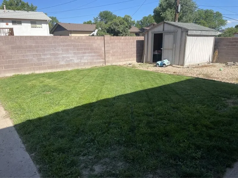 Reliable landscape installation experts serving Pueblo, CO - High Performance Yard & Lawn Care