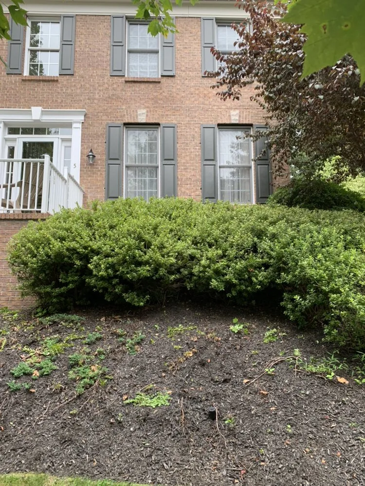 Reliable lawn care service in Bedminster, NJ - High Pines Property Maintenance