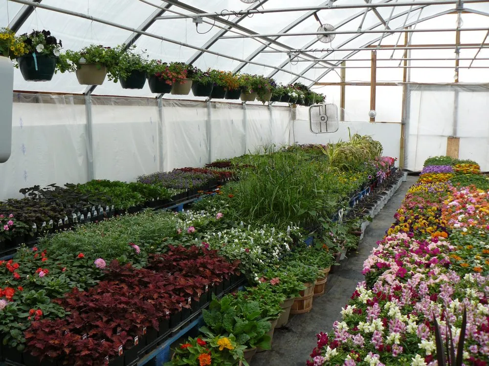 Reliable lawn care service in Beulah, ND - High Plains Concepts - Greenhouse & Nursery