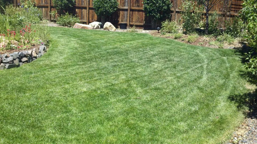 Reliable yard maintenance for beautiful yards in Littleton, CO by High Plains Lawn Service