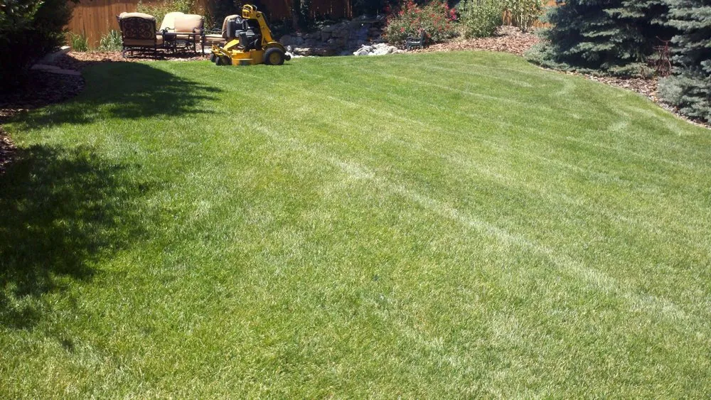 Trusted yard cleanup service in Littleton, CO - High Plains Lawn Service