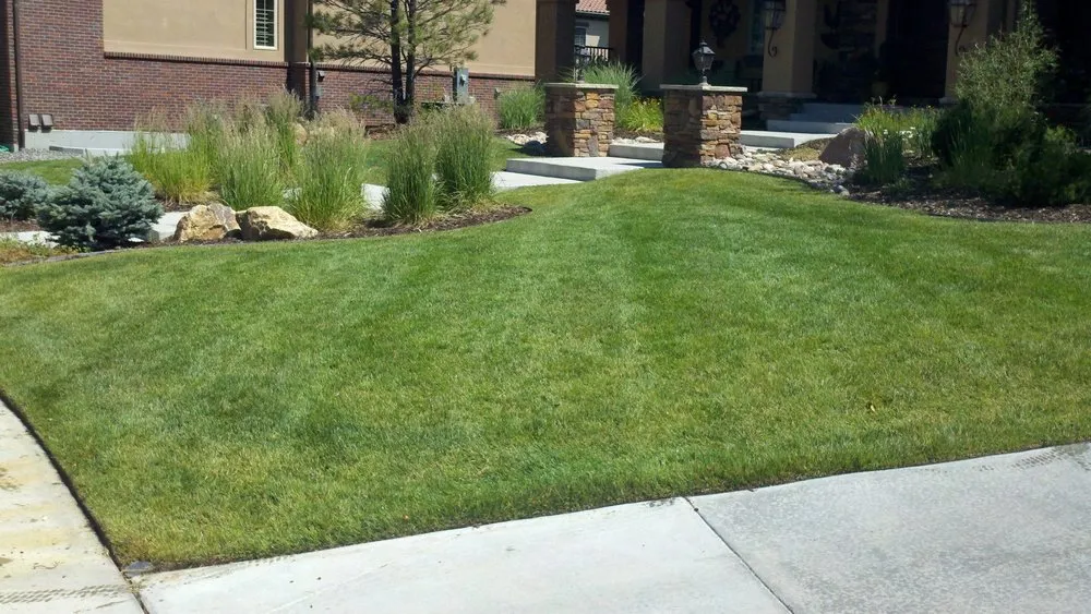 Trusted lawn mowing service near you in Littleton, CO by High Plains Lawn Service