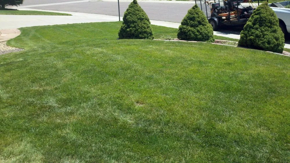 Custom lawn mowing service in Littleton, CO by High Plains Lawn Service