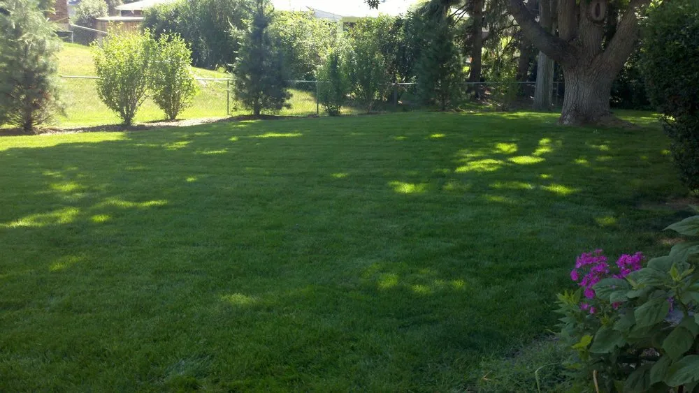 Top-rated landscape design in Littleton, CO - High Plains Lawn Service
