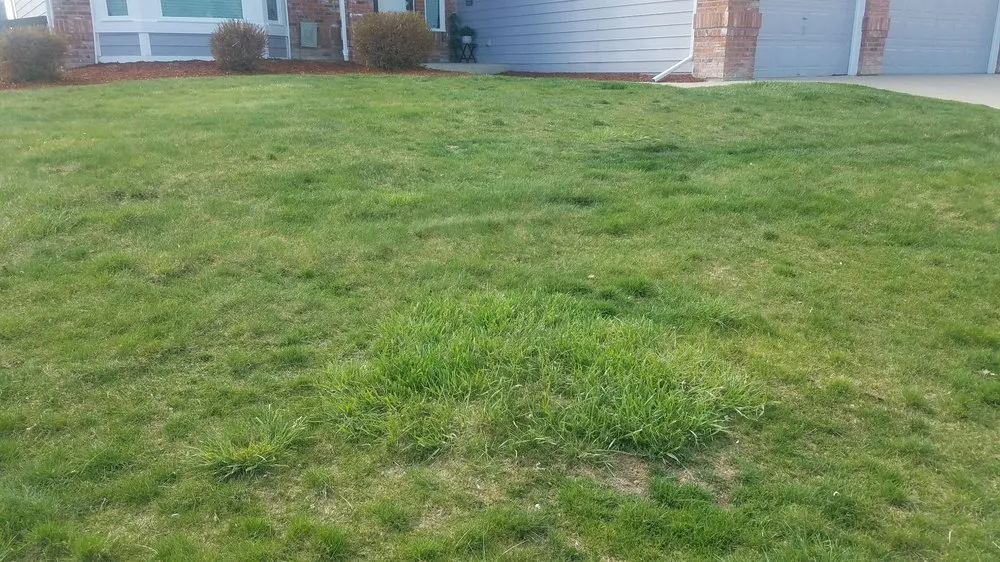 Affordable lawn mowing service for year-round maintenance in Littleton, CO by High Plains Lawn Service