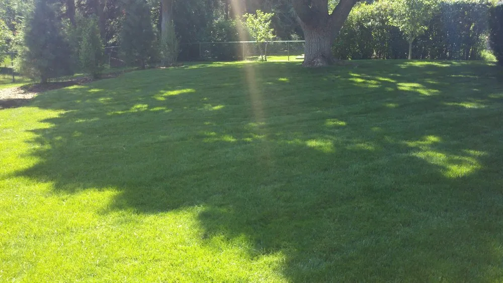 Trusted landscape installation with custom design across Littleton, CO - High Plains Lawn Service