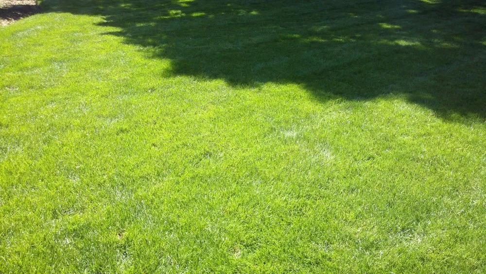 Trusted outdoor landscaping in Littleton, CO by High Plains Lawn Service