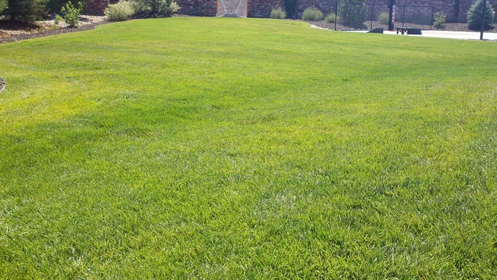 Expert lawn care service experts serving Littleton, CO - High Plains Lawn Service