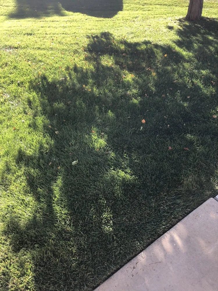 Top-rated garden landscaping in Littleton, CO - High Plains Lawn Service