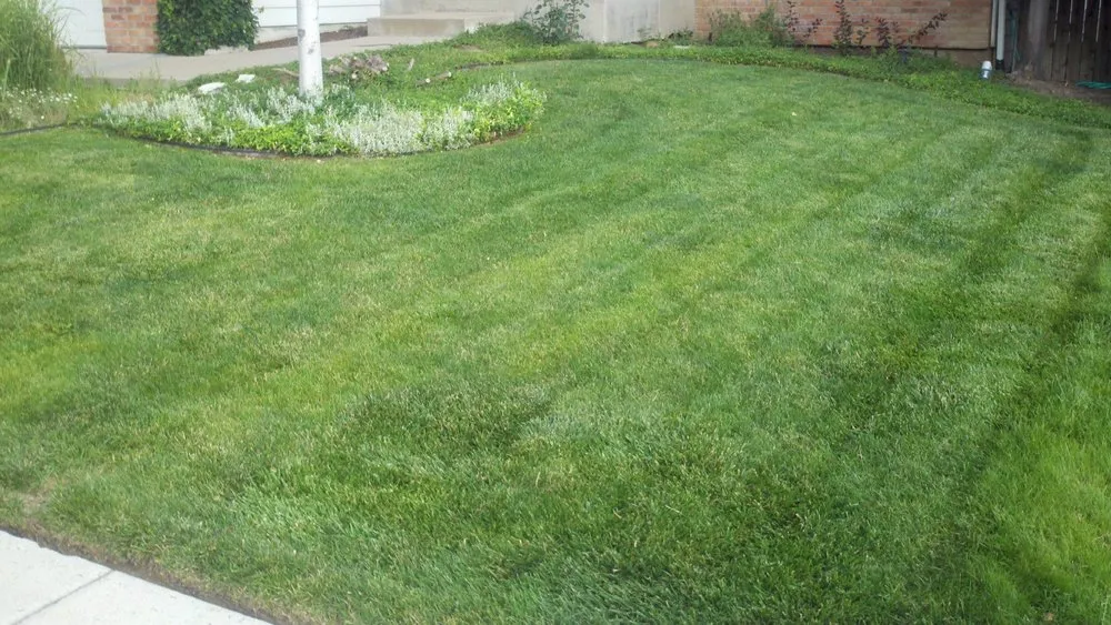Top-rated landscaping services with custom design in Littleton, CO by High Plains Lawn Service