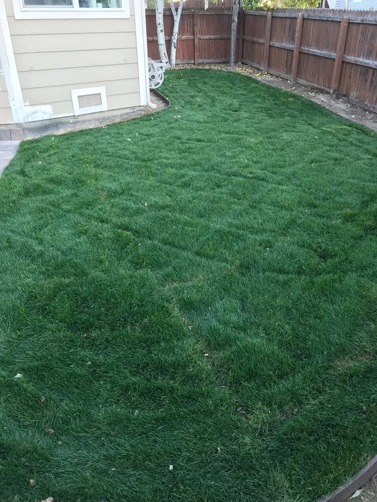 Expert lawn mowing service experts serving Littleton, CO - High Plains Lawn Service