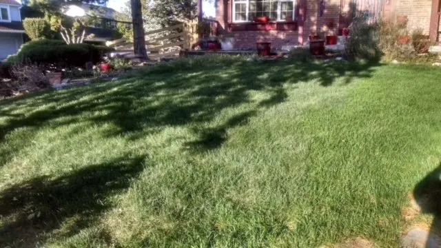 Custom landscape design for homes across Littleton, CO - High Plains Lawn Service