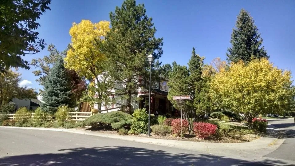 Affordable outdoor landscaping for residential properties in Littleton, CO by High Plains Lawn Service