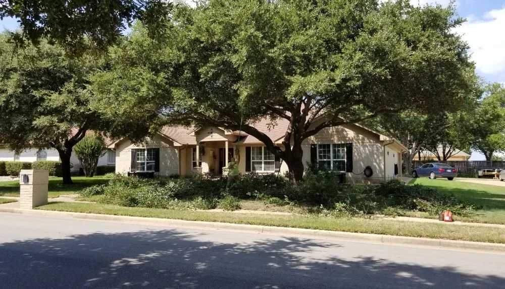 Professional lawn care service in Fort Worth, TX by High Plains Tree & Landscape