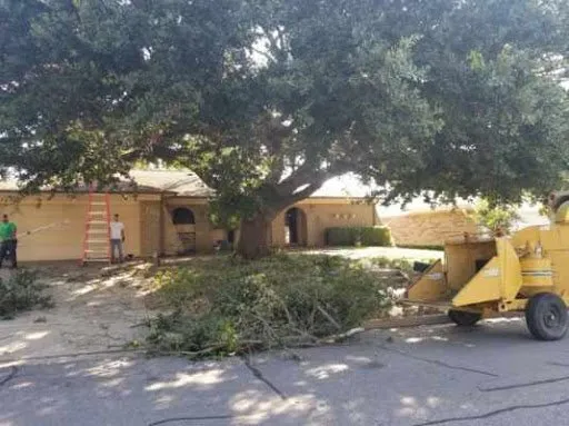 Custom lawn care service in Fort Worth, TX - High Plains Tree & Landscape