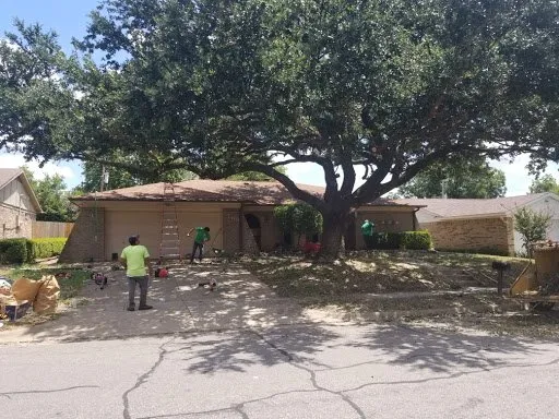 Affordable landscaping services for beautiful yards in Fort Worth, TX by High Plains Tree & Landscape