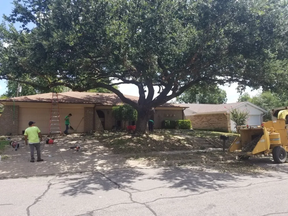 Affordable landscape design for beautiful yards across Fort Worth, TX - High Plains Tree & Landscape