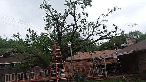 Custom outdoor landscaping in Fort Worth, TX by High Plains Tree & Landscape