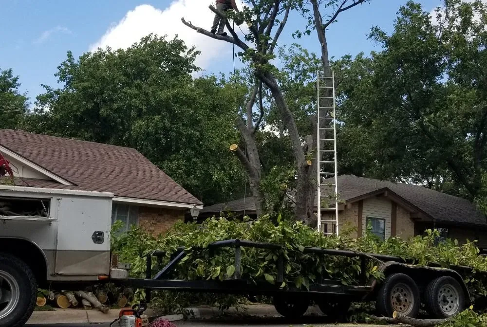 Reliable landscaping services in Fort Worth, TX - High Plains Tree & Landscape