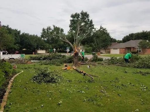 Professional landscape design in Fort Worth, TX by High Plains Tree & Landscape