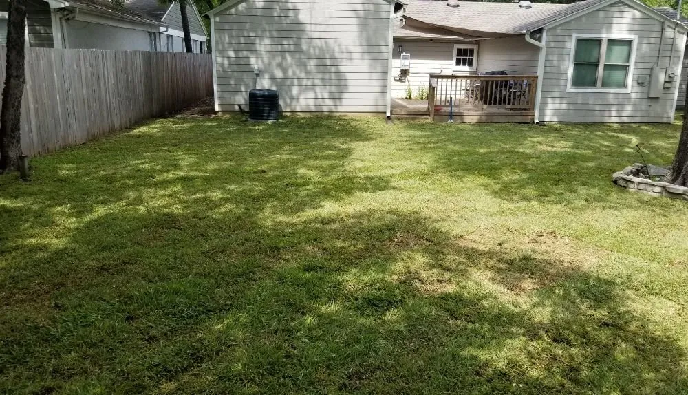 Expert yard cleanup service in Fort Worth, TX by High Plains Tree & Landscape