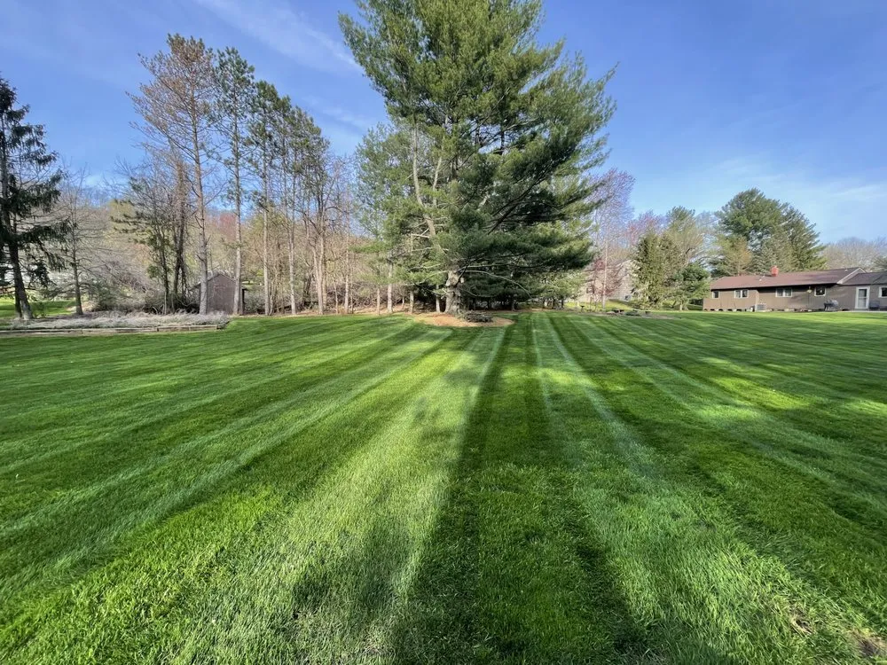 Reliable lawn care service experts serving Middlesex, NJ - High Point Landscaping