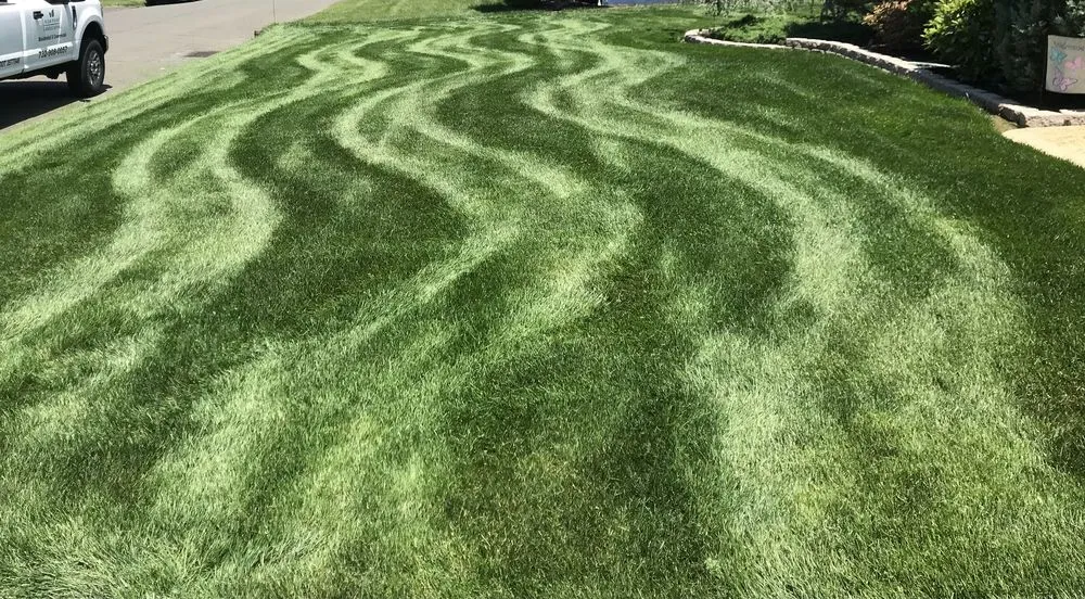 Reliable lawn mowing service in Middlesex, NJ - High Point Landscaping