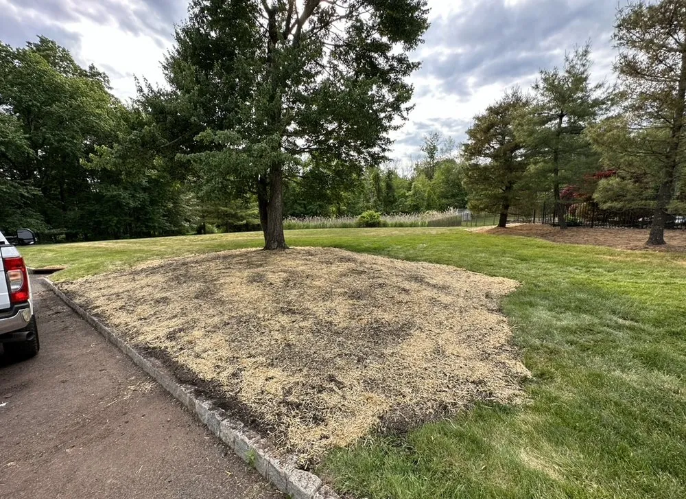 Professional lawn care service in Middlesex, NJ by High Point Landscaping