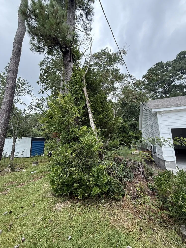 Professional lawn mowing service in Jacksonville, NC by High Power Hauling