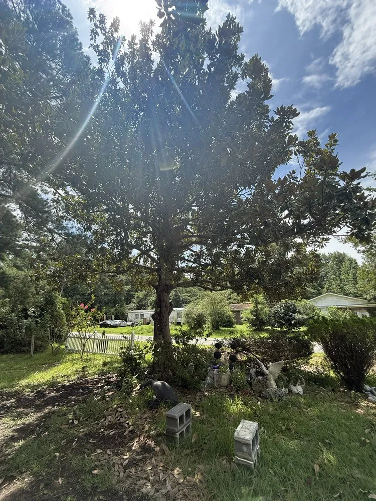 Affordable yard maintenance near you in Jacksonville, NC by High Power Hauling