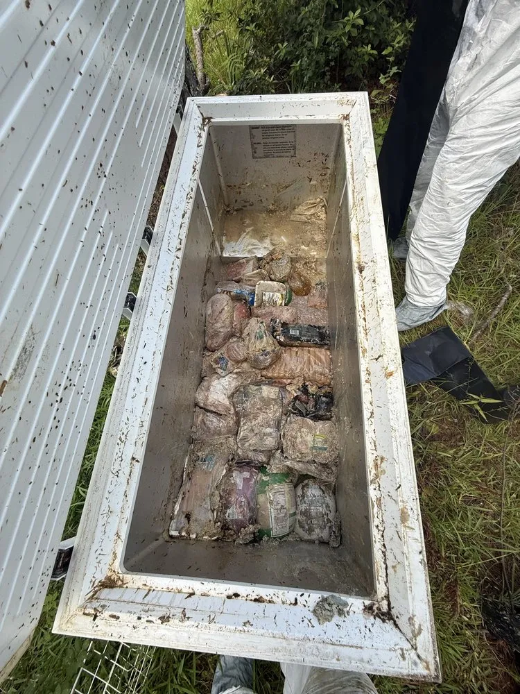 Top-rated lawn care service for outdoor upgrades across Jacksonville, NC - High Power Hauling