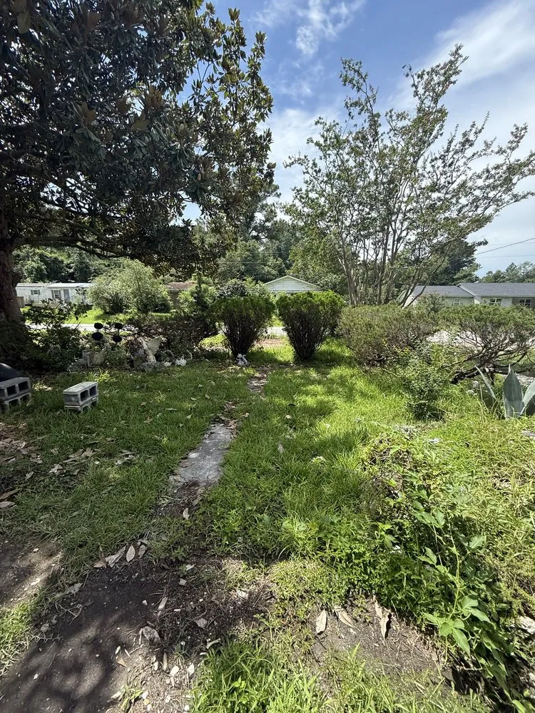 Reliable lawn mowing service with custom design across Jacksonville, NC - High Power Hauling