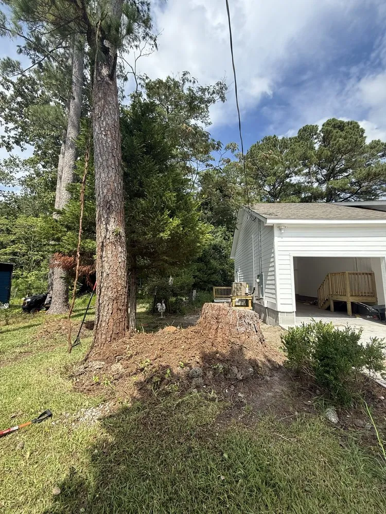 Affordable yard cleanup service for residential properties in Jacksonville, NC by High Power Hauling