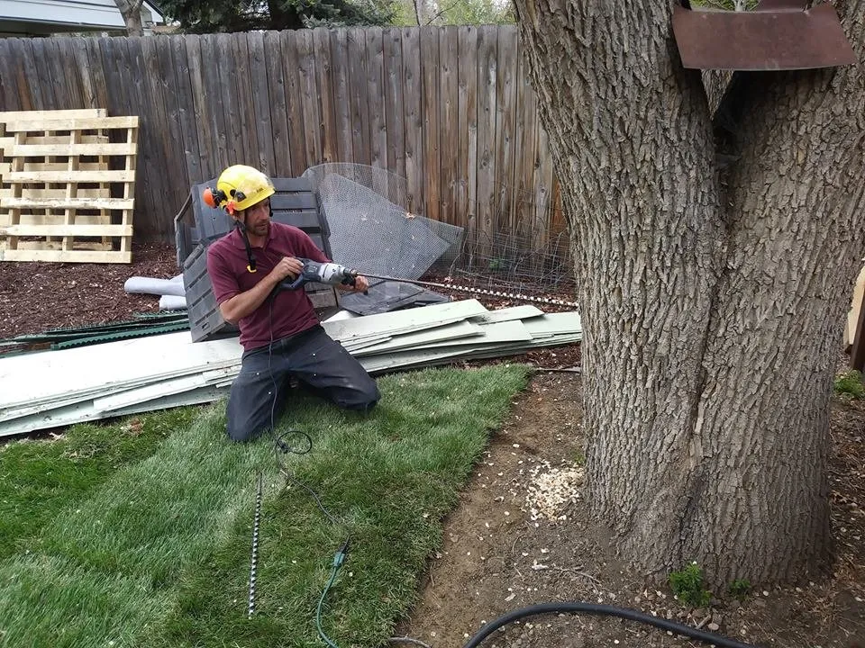 Reliable residential landscaping experts serving Arvada, CO - High Prairie Tree and Shrub