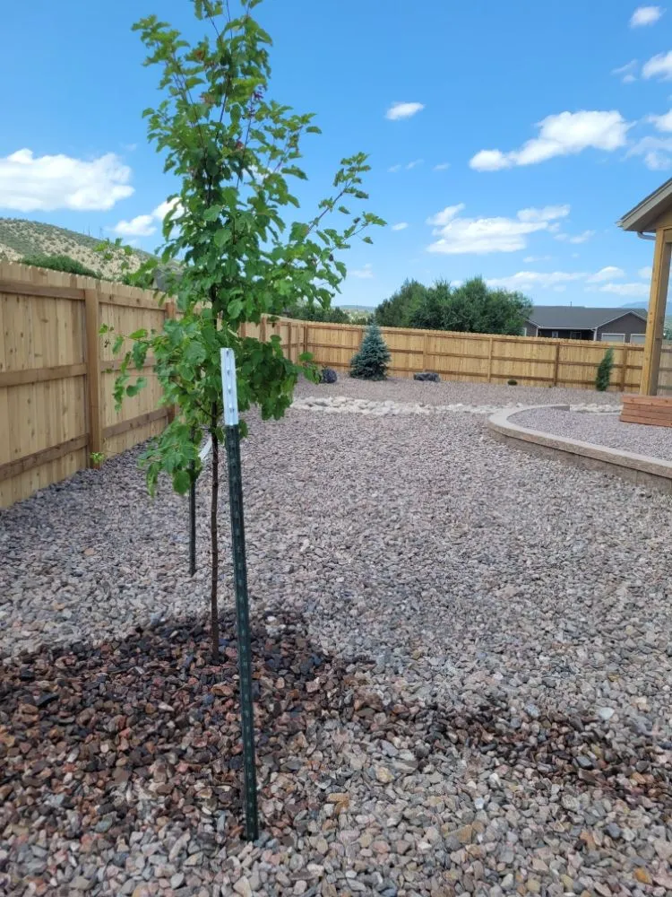 Top-rated yard maintenance in Peyton, CO by High Quality Hardscape