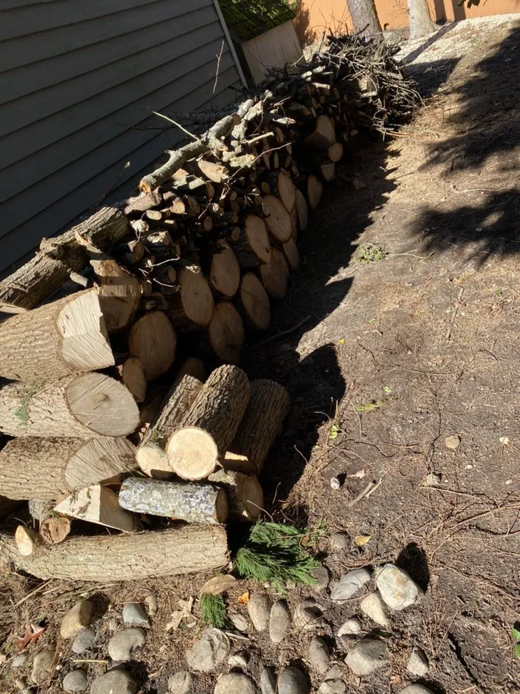 Professional residential landscaping experts serving Egg Harbor Township, NJ - High Quality Landcaping & More