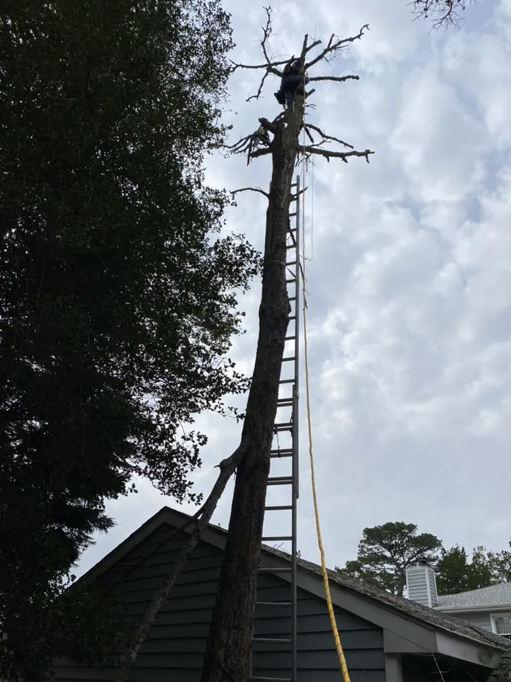 Custom landscaping services in Egg Harbor Township, NJ by High Quality Landcaping & More