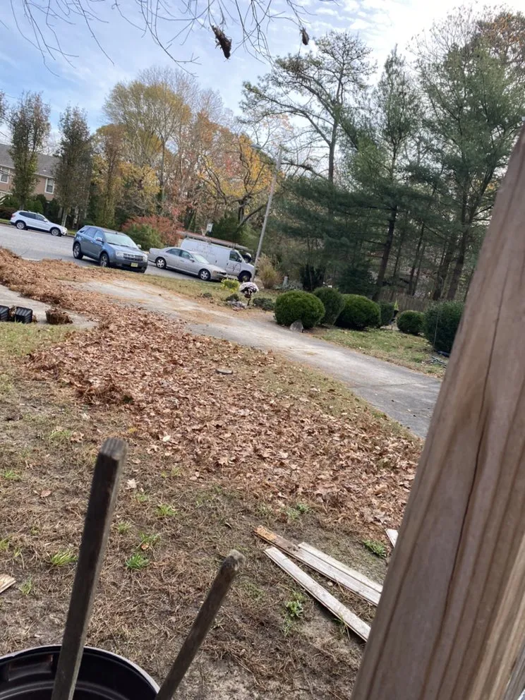 Local landscaping services near you in Egg Harbor Township, NJ by High Quality Landcaping & More