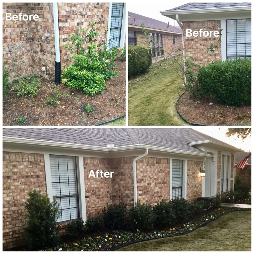 Top-rated lawn care service for homes in Dallas, TX by High Quality Landscape Services