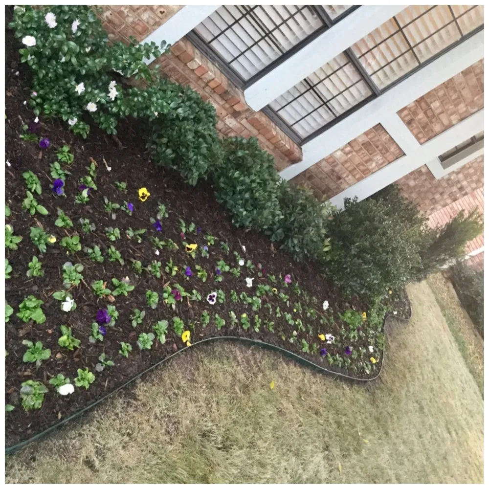 Custom landscape installation in Dallas, TX - High Quality Landscape Services