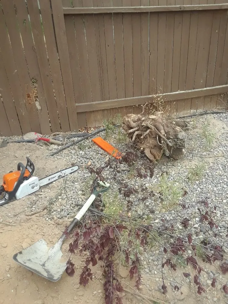 Affordable residential landscaping for residential properties across Albuquerque, NM - High Quality landscapes