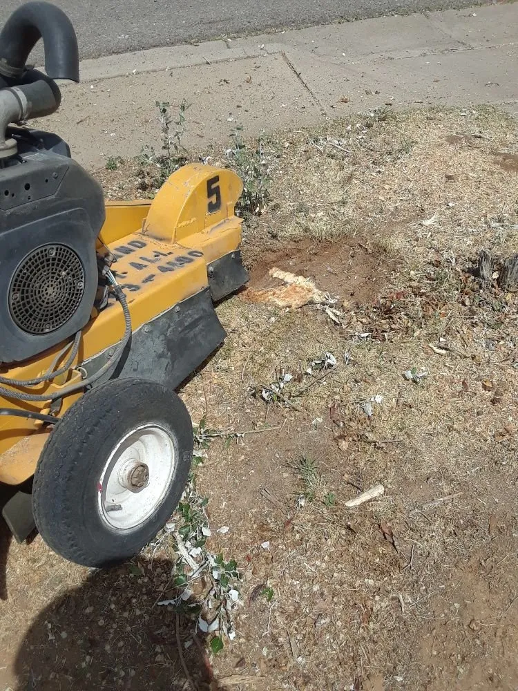 Affordable lawn care service in Albuquerque, NM - High Quality landscapes