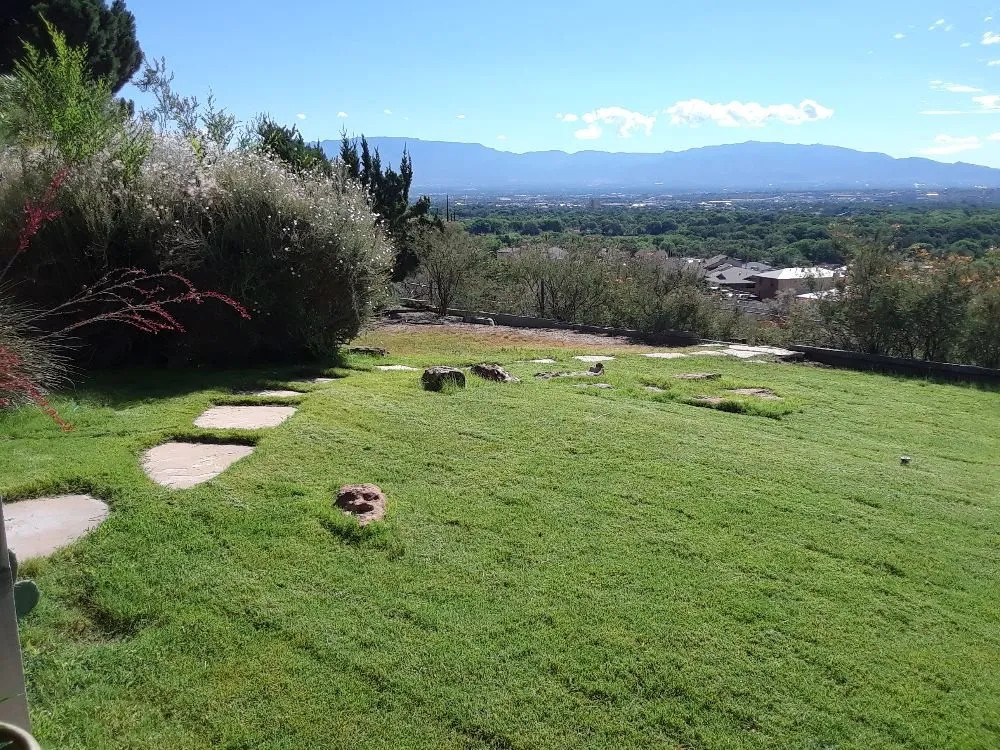 Custom landscape design for residential properties across Albuquerque, NM - High Quality landscapes